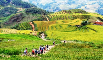 Hanoi – Sapa - Halong