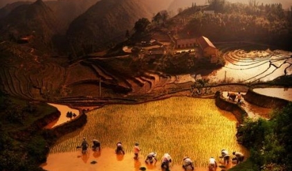 Trekking Sapa 