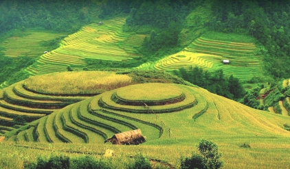 Motorbiking to Mai Chau and Ninh Binh 