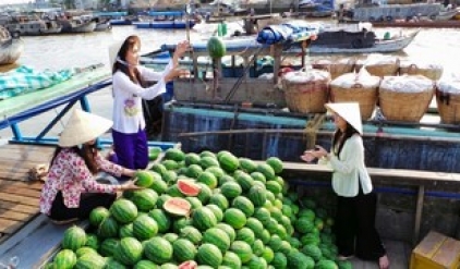 Authentic Mekong Delta Daily life