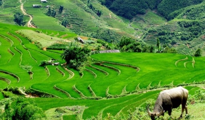Express Sapa